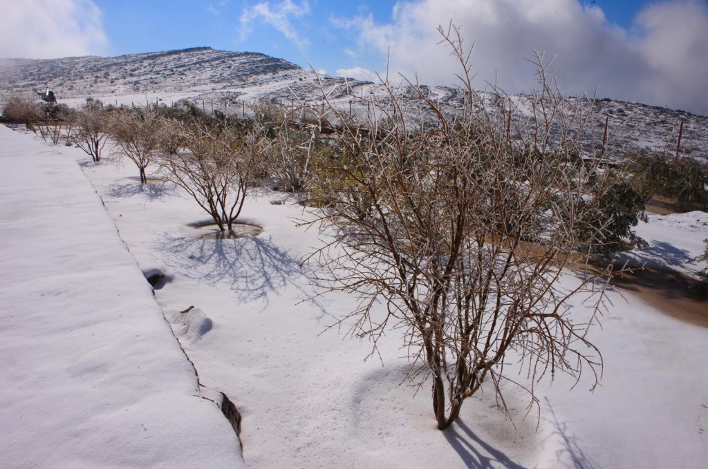 Snow settles on Jebel Jais mountain in Ras al Khaimah, Janaury 24, 2009. This is the second time it snows there in recorded history. Photo HO